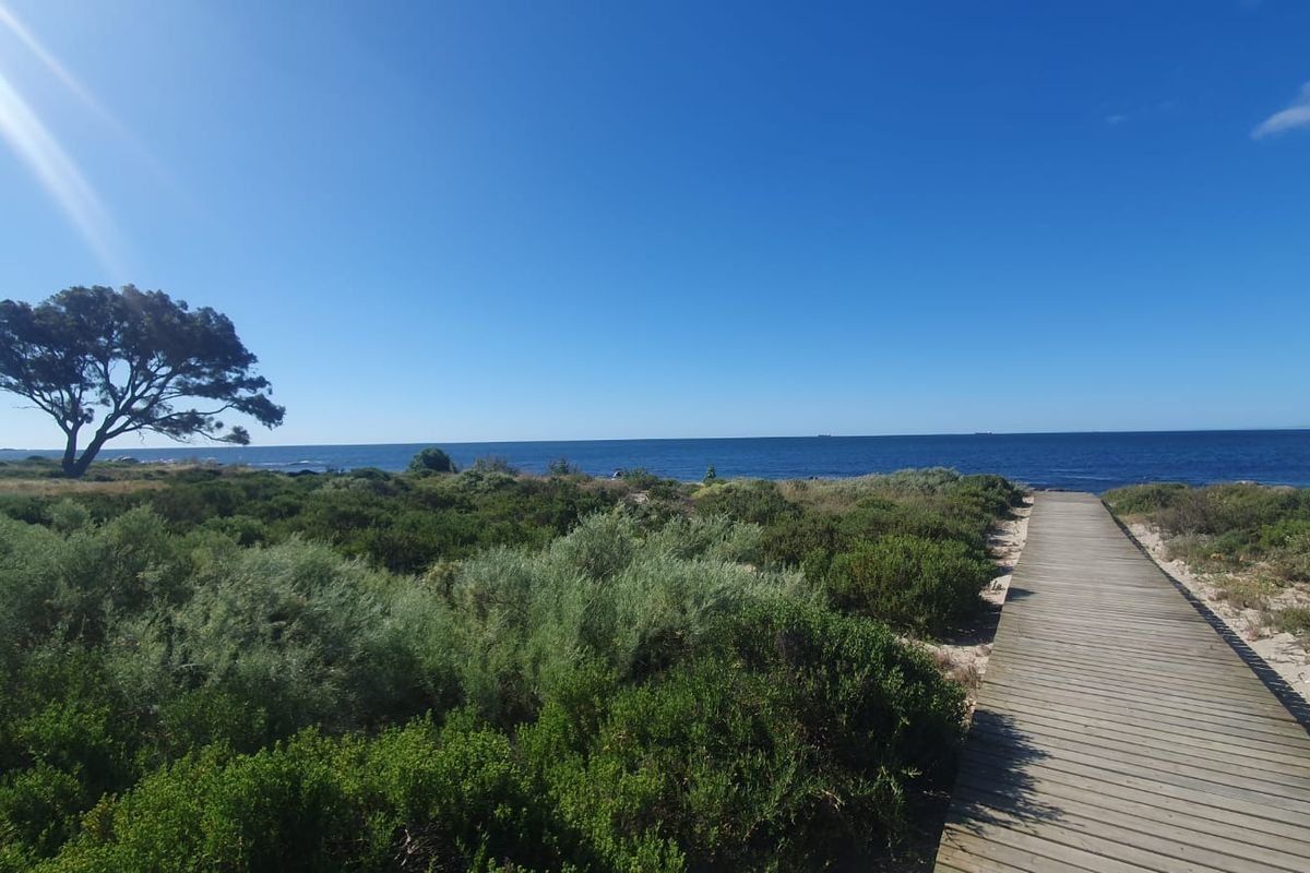 A scenic view of the coastline featuring a wooden boardwalk leading through native vegetation toward the ocean.