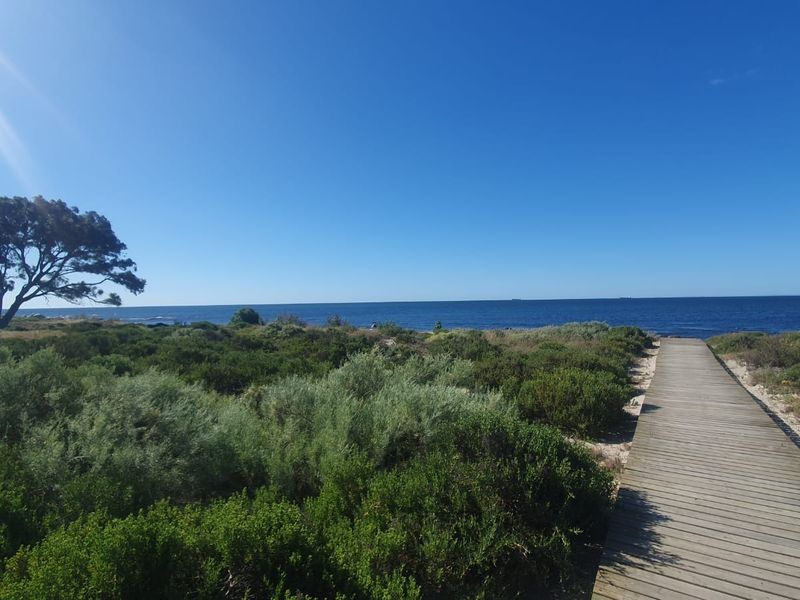 A scenic view of the coastline featuring a wooden boardwalk leading through native vegetation toward the ocean.