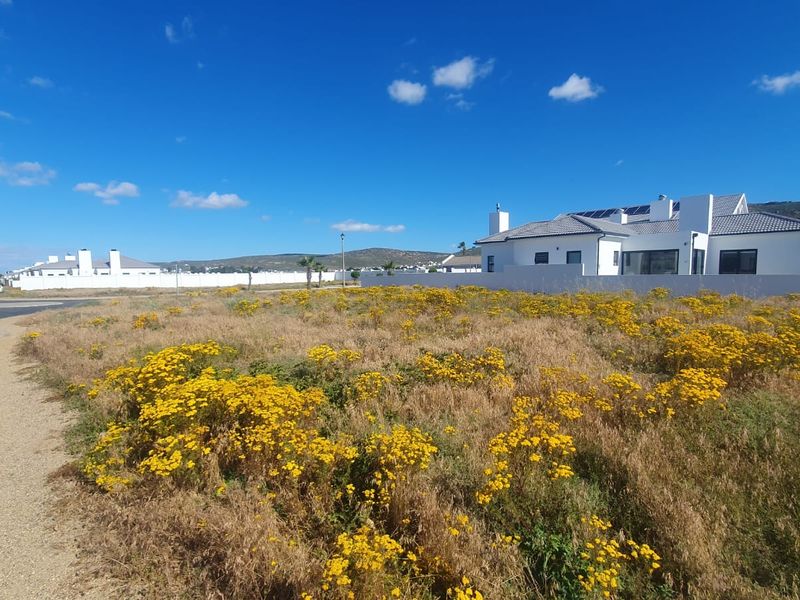 A vacant residential plot of land situated in a developed estate, featuring natural vegetation and adjacent to a paved street.