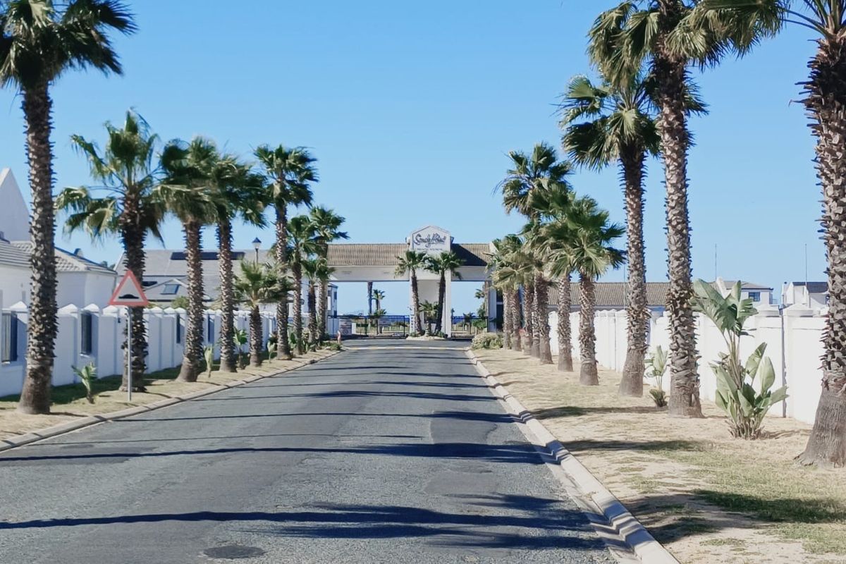 A view of the paved entrance road leading to the gated residential estate, lined with mature palm trees and perimeter walls.