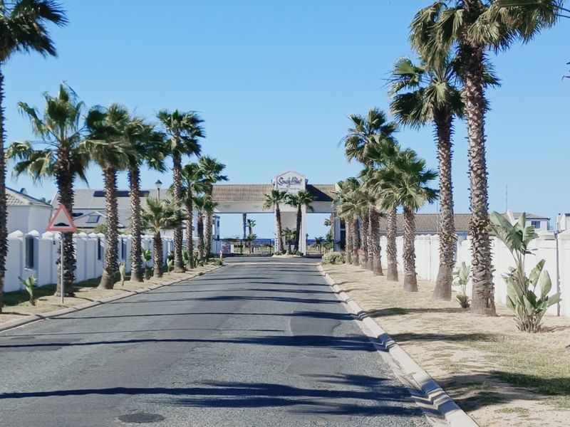 A view of the paved entrance road leading to the gated residential estate, lined with mature palm trees and perimeter walls.