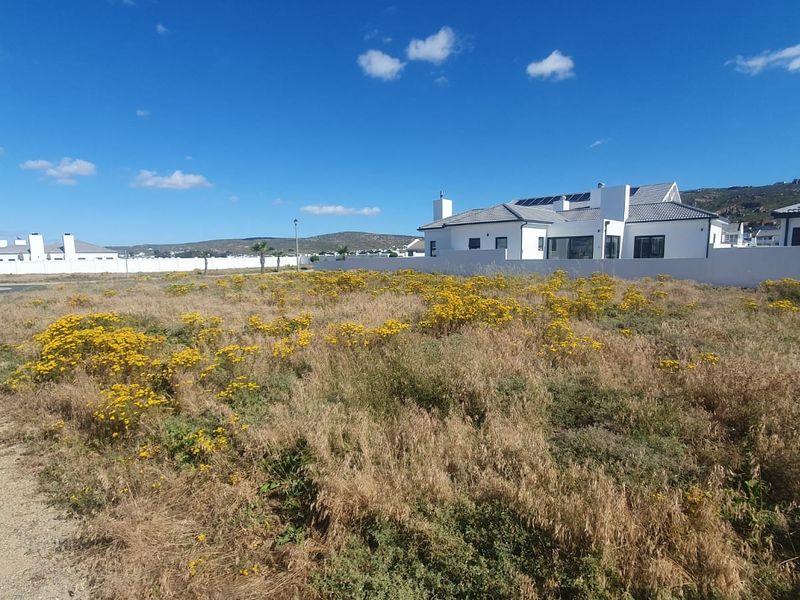 A vacant residential plot of land situated in a developed estate, featuring natural vegetation and perimeter boundary walls.