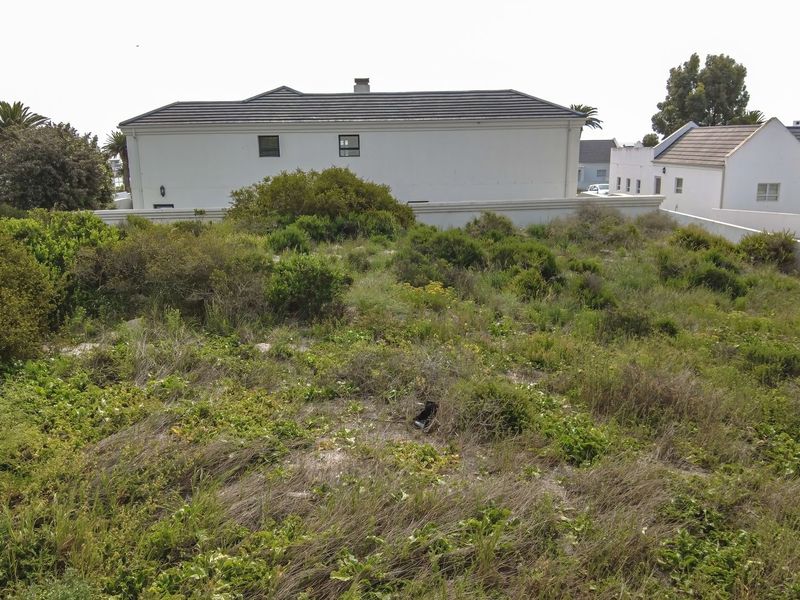 A vacant residential plot featuring natural vegetation, enclosed by perimeter boundary walls, situated in a developed residential neighborhood.