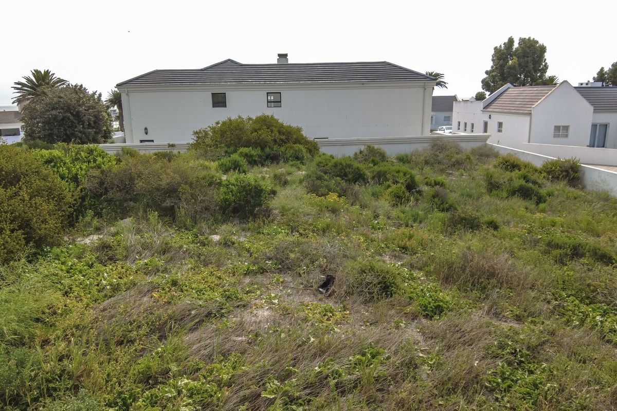 A vacant residential plot featuring natural vegetation, enclosed by perimeter boundary walls, situated in a developed residential neighborhood.