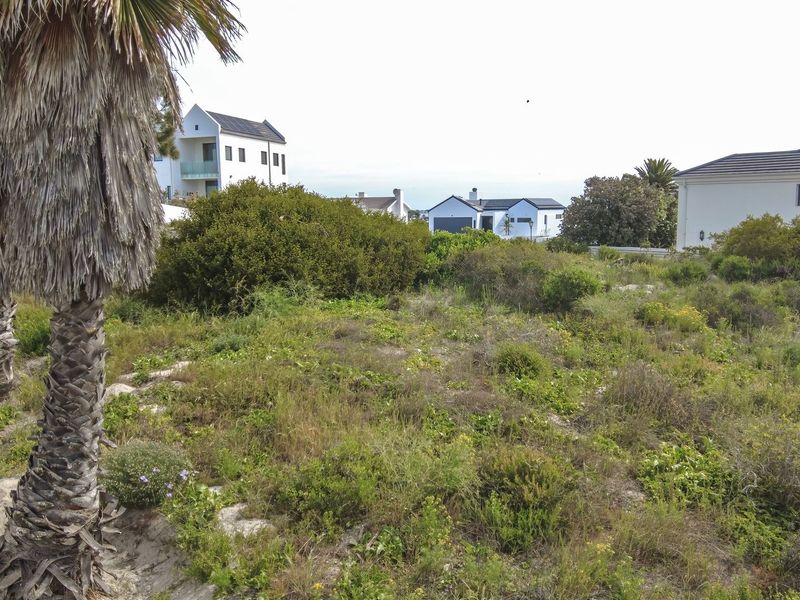 A view of a vacant residential plot featuring natural coastal vegetation and a mature palm tree, surrounded by established residential properties.
