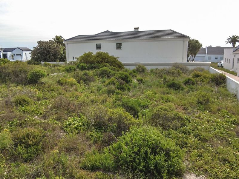 A vacant residential plot featuring natural vegetation, enclosed by boundary walls and adjacent to an existing paved driveway and residential properties.