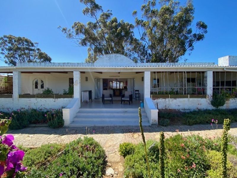 A rear view of the house featuring a covered patio with concrete steps, stone paving, and folding doors leading into the interior living space.