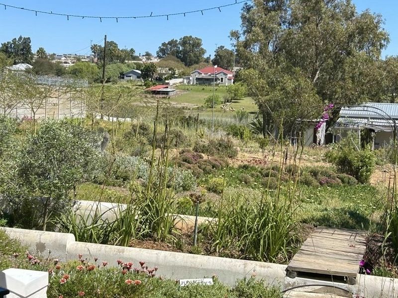 A landscaped garden featuring a small wooden footbridge, established plantings, and a concrete retaining wall with views of the surrounding neighborhood.