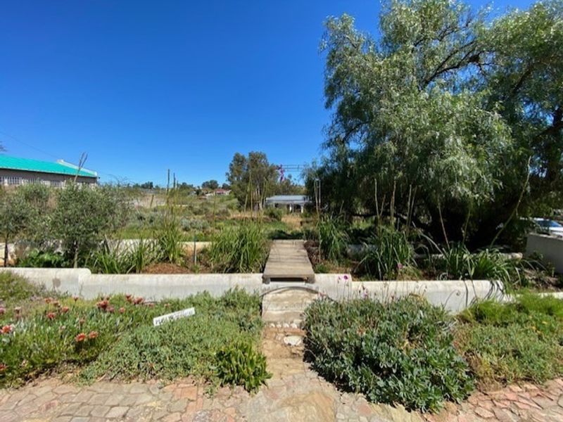 A landscaped garden area featuring a stone paved path, a low concrete retaining wall, and a small wooden footbridge leading into the greenery.