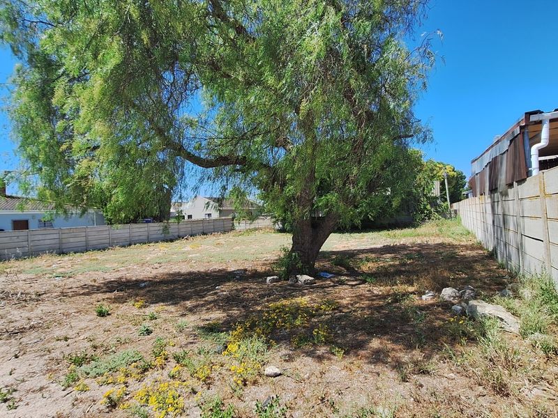 A vacant residential plot featuring a mature tree and precast concrete boundary walls, offering a blank canvas for future development.