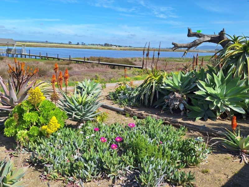A scenic view of the waterfront featuring a landscaped garden with indigenous succulents and a wooden jetty extending into the water.