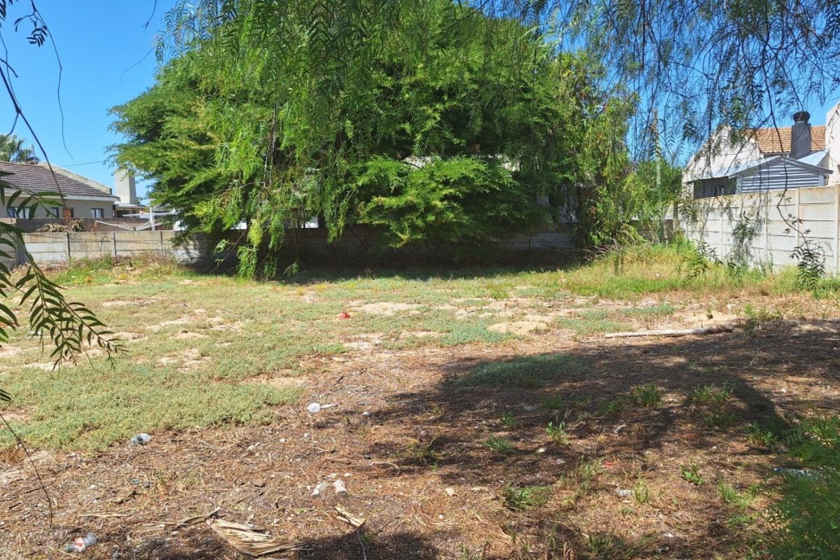 A vacant residential plot featuring mature trees and enclosed by precast concrete boundary walls, offering a blank canvas for development.