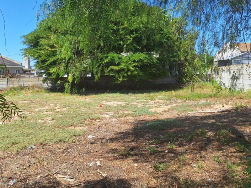 A vacant residential plot featuring mature trees and enclosed by precast concrete boundary walls, offering a blank canvas for development.
