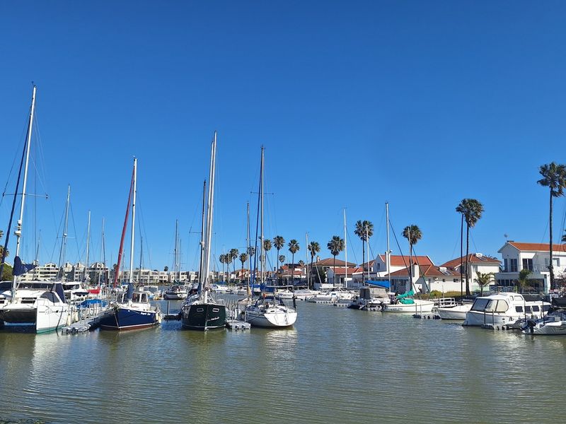 A scenic view of a residential marina featuring docked sailboats and yachts with surrounding waterfront properties.