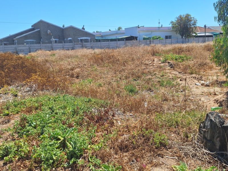 A view of a vacant residential plot featuring dry, overgrown vegetation and a precast concrete boundary wall at the rear.