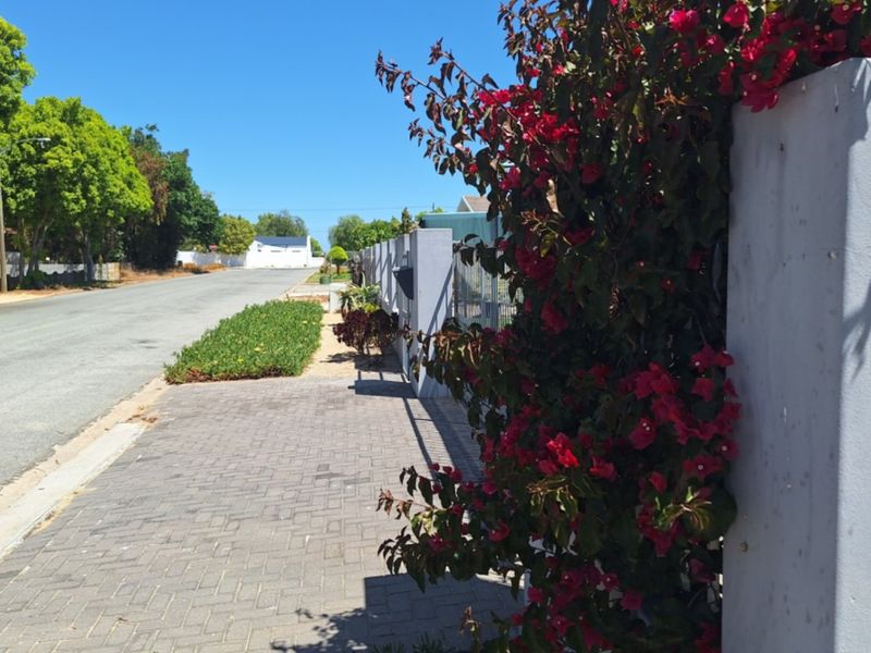 A view of the street frontage featuring a paved sidewalk, boundary wall, and established landscaping along the property perimeter.