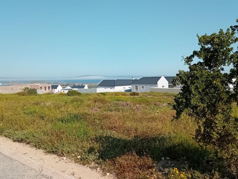A scenic view overlooking a residential neighborhood with coastal landscape and distant ocean horizon.