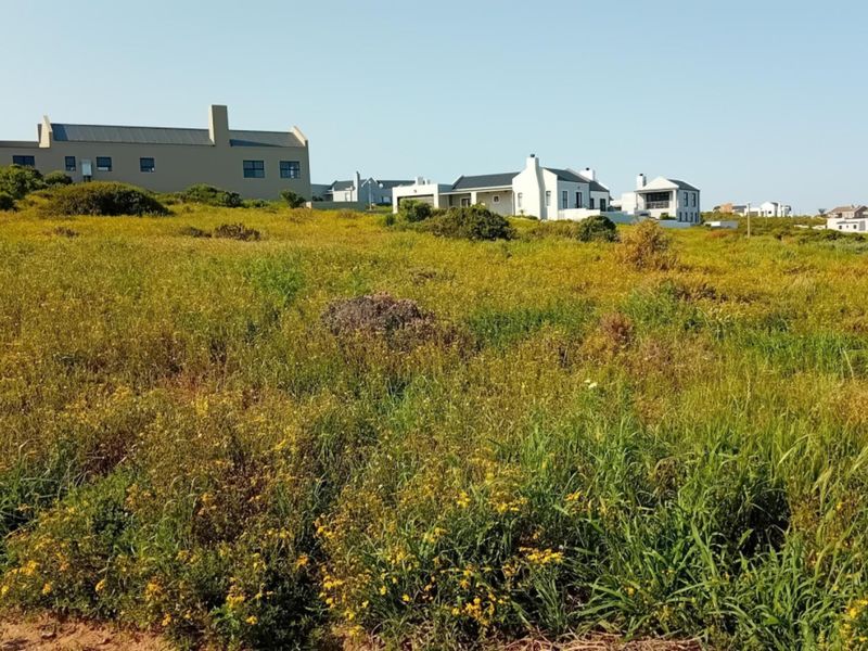 A view of a vacant residential plot covered in natural vegetation, situated in a developed coastal neighborhood.