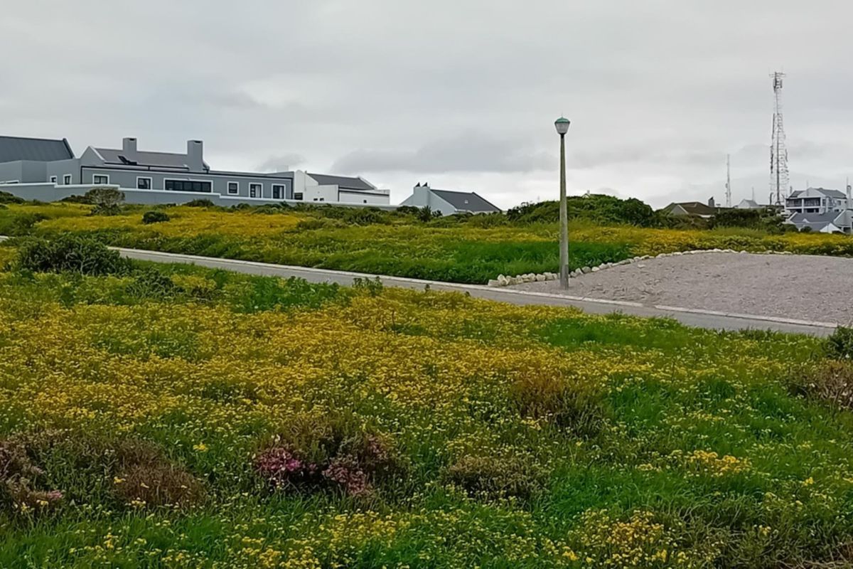 A view of a vacant residential plot featuring natural vegetation, a paved road, and street lighting in a coastal neighborhood setting.