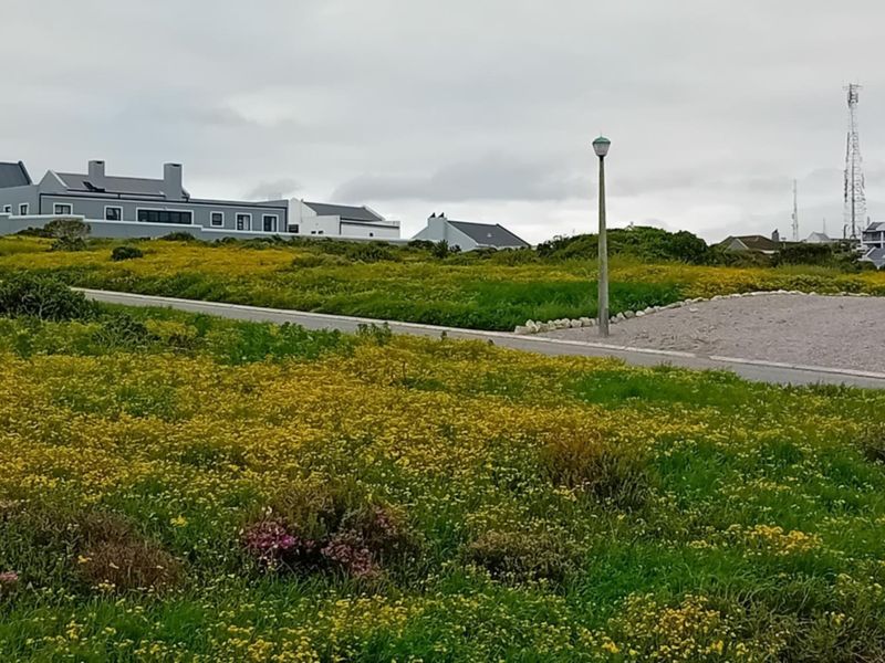 A view of a vacant residential plot featuring natural vegetation, a paved road, and street lighting in a coastal neighborhood setting.