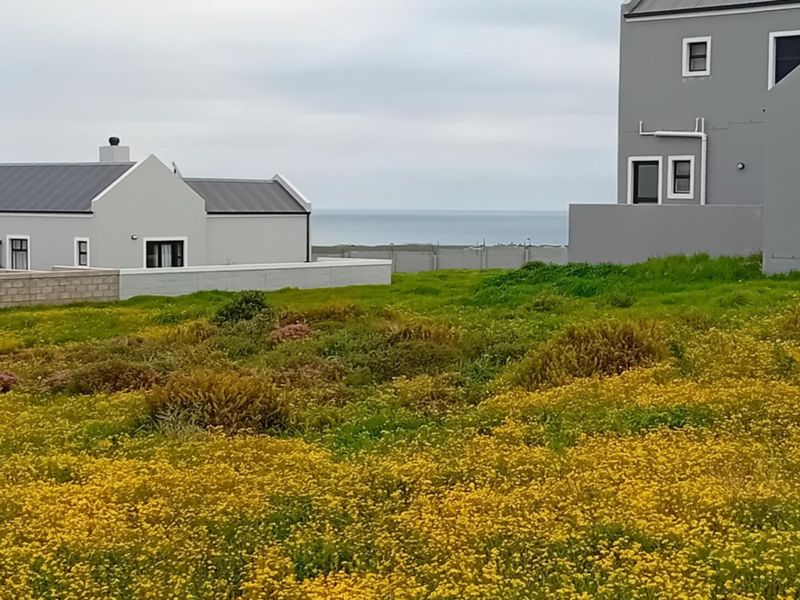 A vacant residential plot featuring natural vegetation with surrounding modern homes and a distant ocean view.