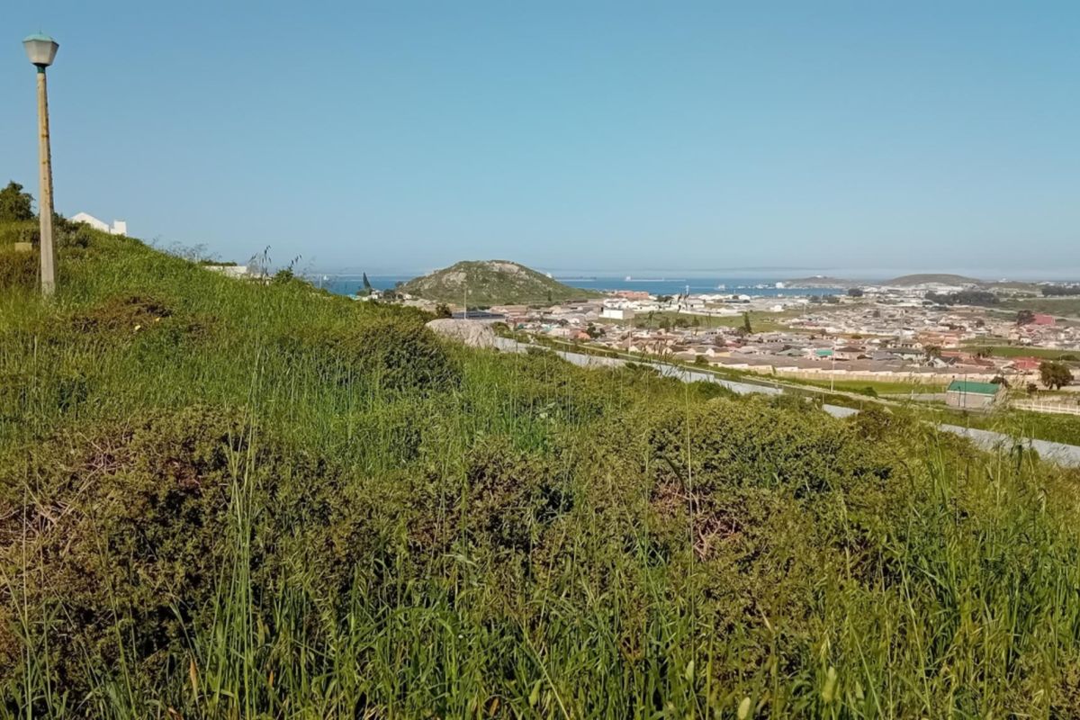 A scenic elevated view overlooking the surrounding residential neighborhood and distant coastline from the vacant land plot.