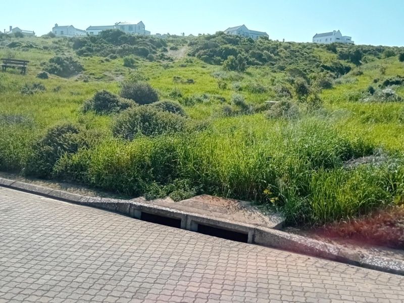 A view of the street frontage showing the paved road, kerbing, and integrated stormwater drainage system adjacent to the vacant residential land.