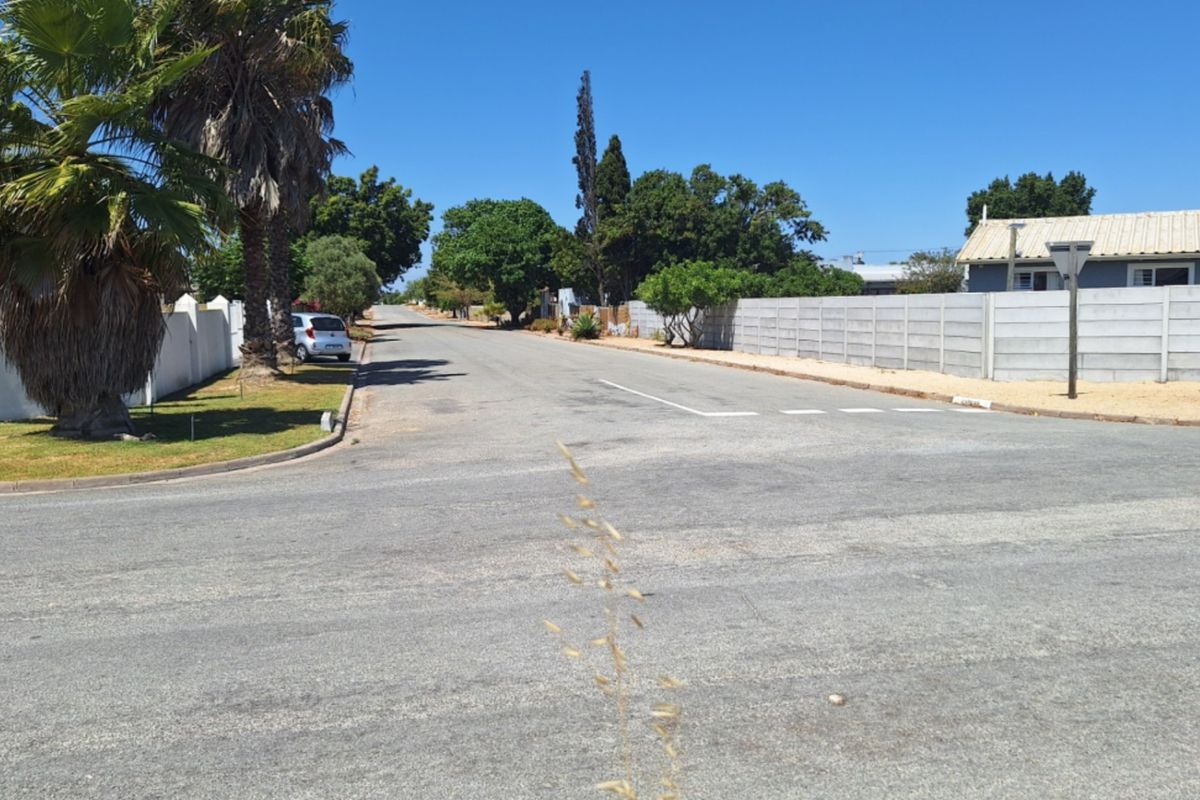 A clear street view showing the asphalt road, surrounding residential boundary walls, and established landscaping in a quiet neighborhood setting.