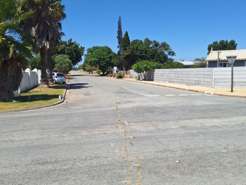 A clear street view showing the asphalt road, surrounding residential boundary walls, and established landscaping in a quiet neighborhood setting.
