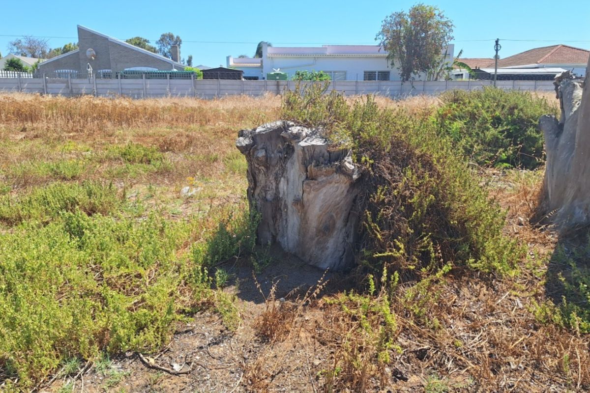 A vacant residential plot featuring overgrown vegetation, tree stumps, and a precast concrete boundary wall in the background.