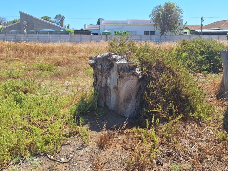 A vacant residential plot featuring overgrown vegetation, tree stumps, and a precast concrete boundary wall in the background.