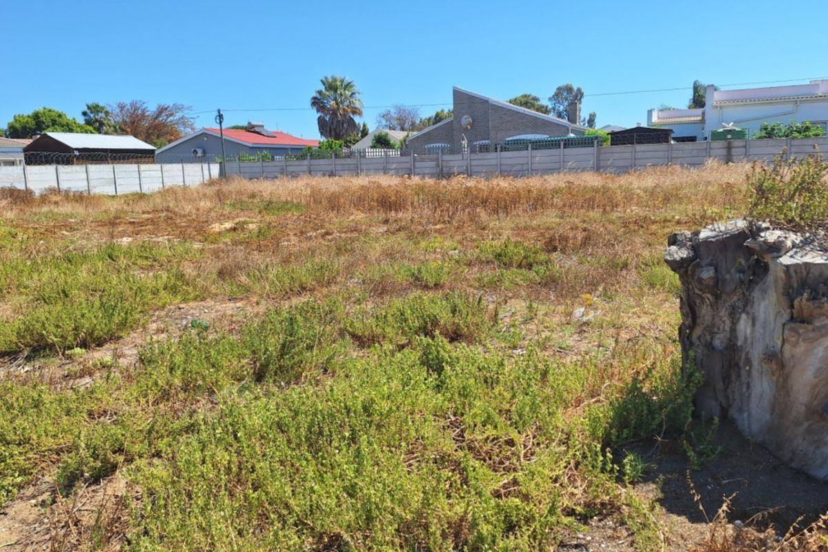 A vacant residential plot featuring dry, overgrown vegetation and enclosed by a precast concrete boundary wall.