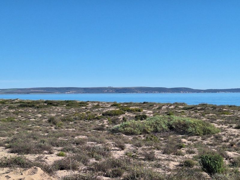 A scenic view of the coastal landscape featuring natural vegetation and an expansive ocean horizon under a clear blue sky.