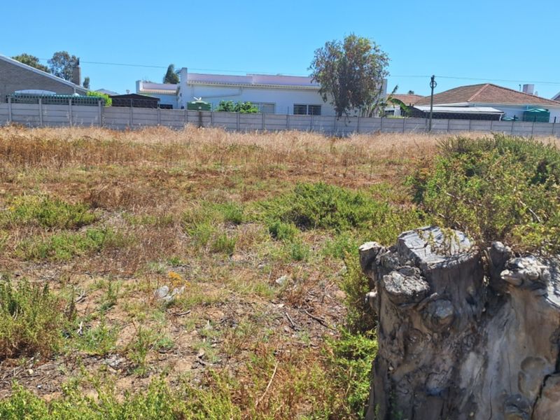 A vacant residential plot featuring dry, overgrown vegetation and a precast concrete boundary wall, offering a blank canvas for future development.
