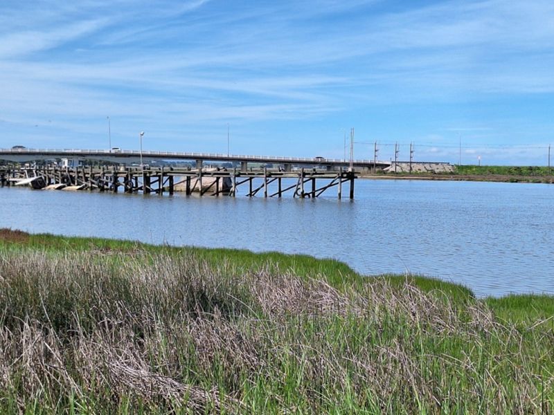 A scenic view of the waterfront featuring a weathered wooden jetty extending into the water with a bridge visible in the background.