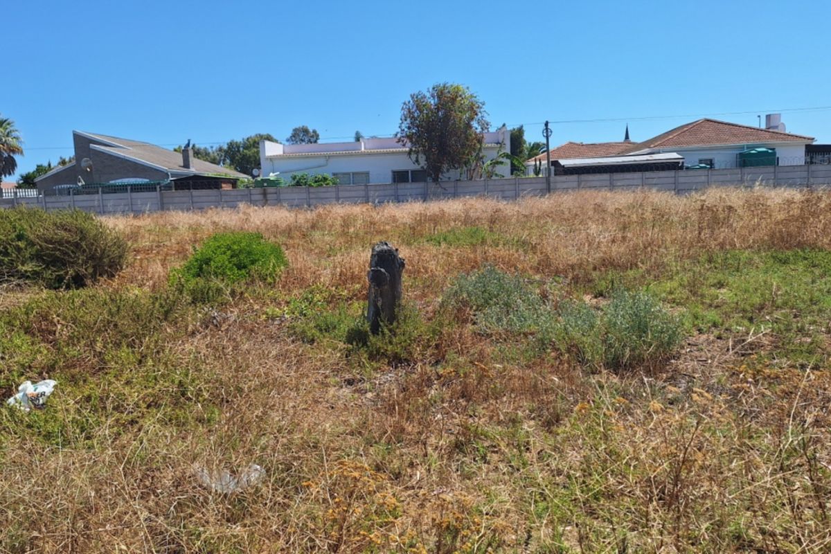 A vacant residential plot featuring dry, overgrown vegetation and a precast concrete boundary wall at the rear.
