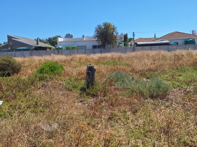 A vacant residential plot featuring dry, overgrown vegetation and a precast concrete boundary wall at the rear.