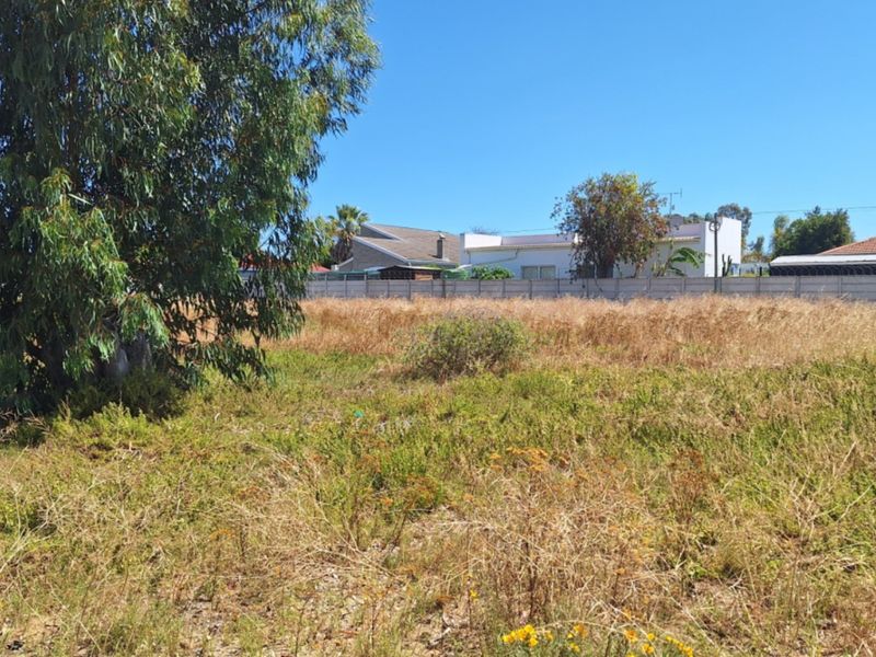 A vacant residential plot featuring natural vegetation, a mature tree, and a precast concrete boundary wall.