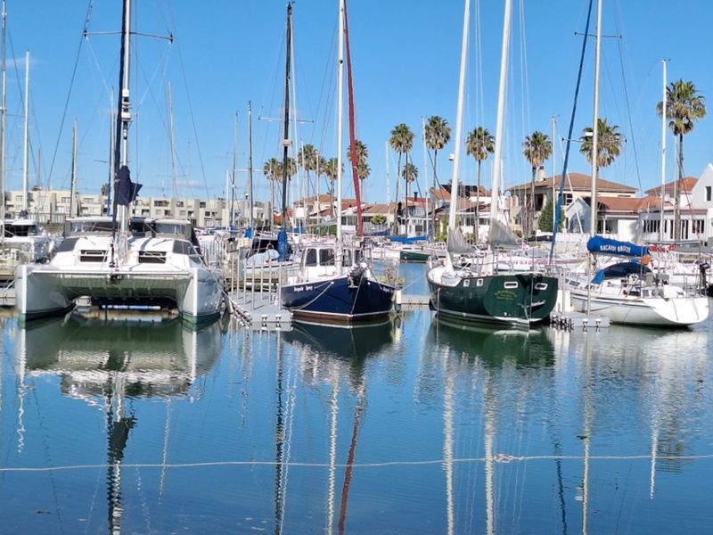 A scenic view of a marina featuring multiple sailboats and yachts moored at floating docks, set against a backdrop of residential properties.
