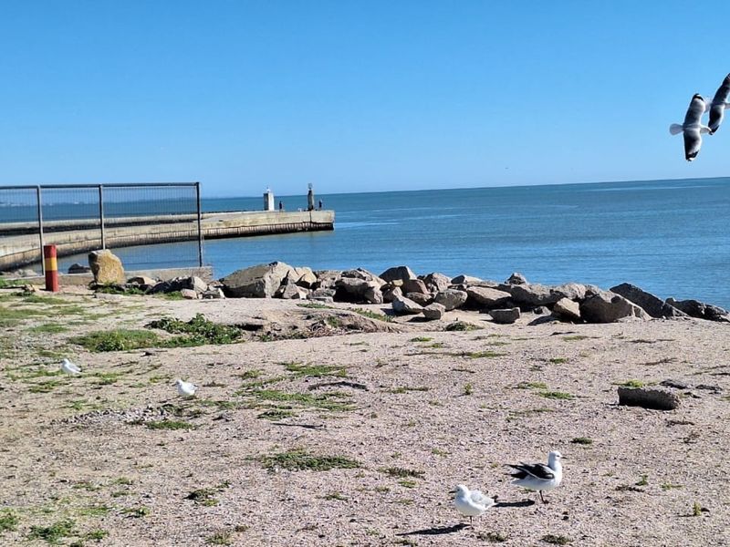 A scenic coastal view featuring a rocky shoreline, metal fencing, and a concrete pier extending into the ocean.