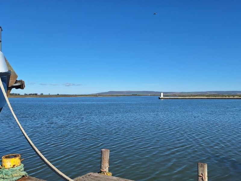A scenic view of the water and distant landscape from a wooden jetty with mooring infrastructure.