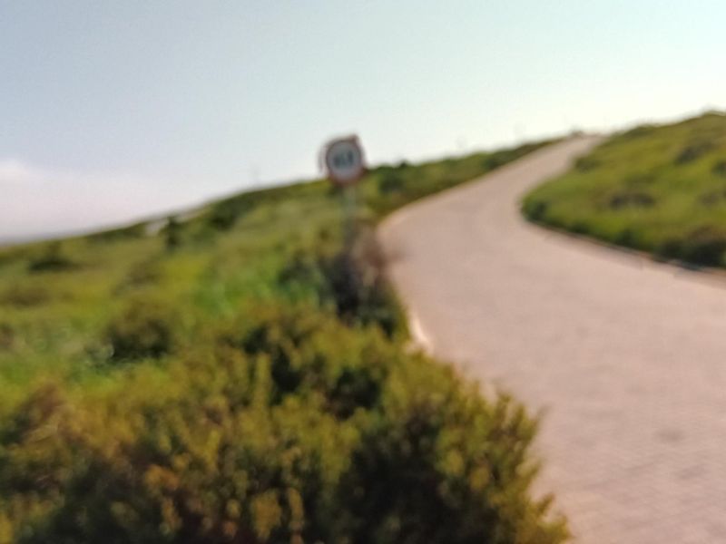 A view of a paved road winding through a grassy landscape with a traffic sign visible.