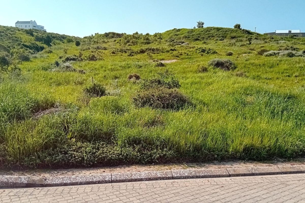 A view of a vacant residential plot featuring natural sloped terrain and a paved curb along the street frontage.