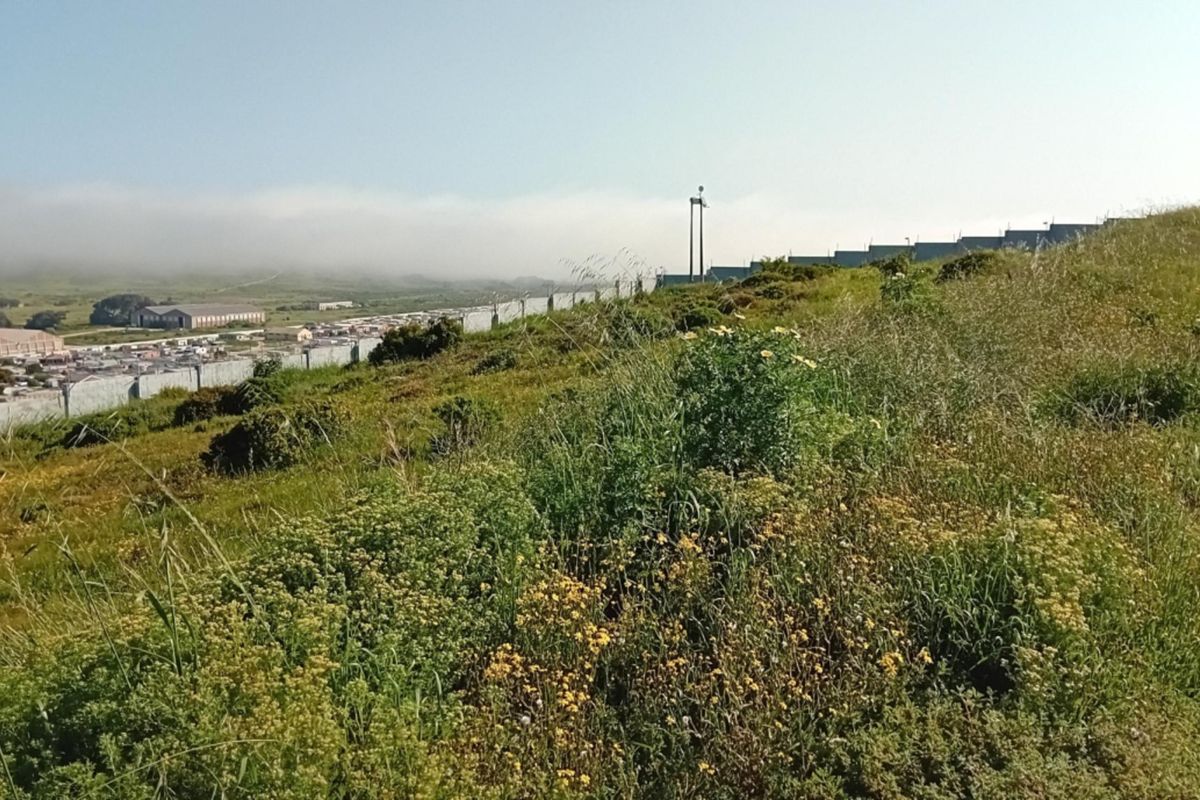 A view of the surrounding landscape and residential area from the vacant land, featuring perimeter fencing and street lighting infrastructure.