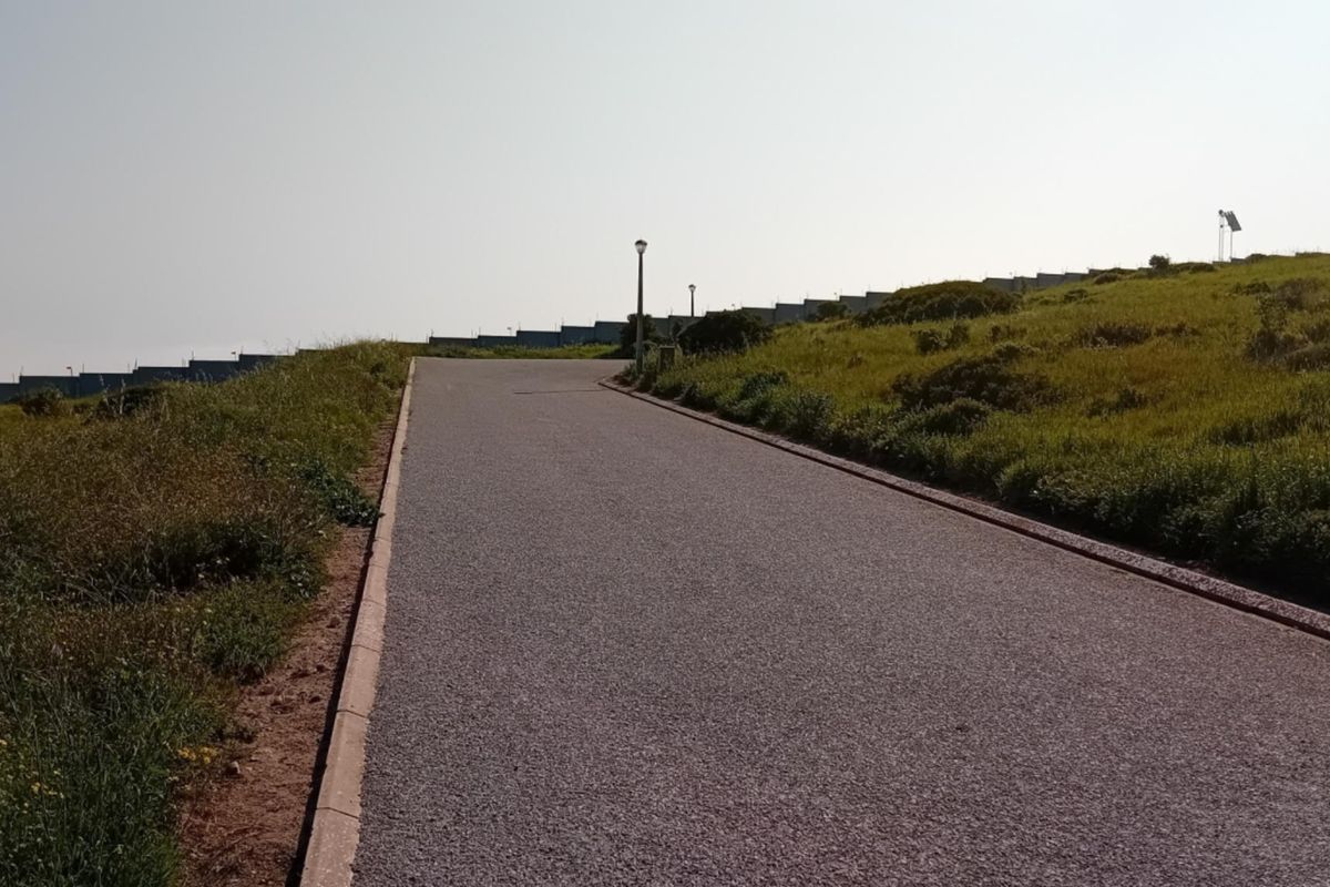 A paved residential street with concrete curbing and street lighting, leading through a landscaped vacant land development.