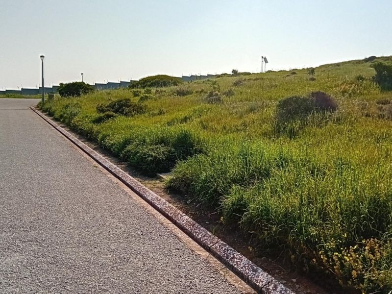 A view of the asphalt road and concrete curbing bordering the vacant residential land, featuring established street lighting and natural vegetation.