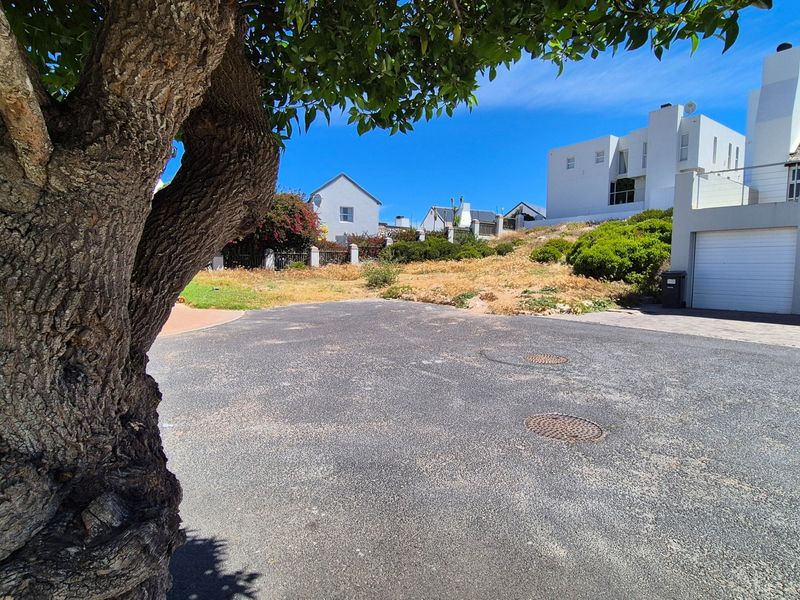 A view of a residential property frontage featuring an asphalt driveway, mature tree, and adjacent building structure.