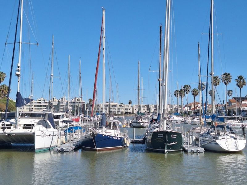 A scenic view of a marina featuring multiple sailboats and yachts docked at a residential estate.