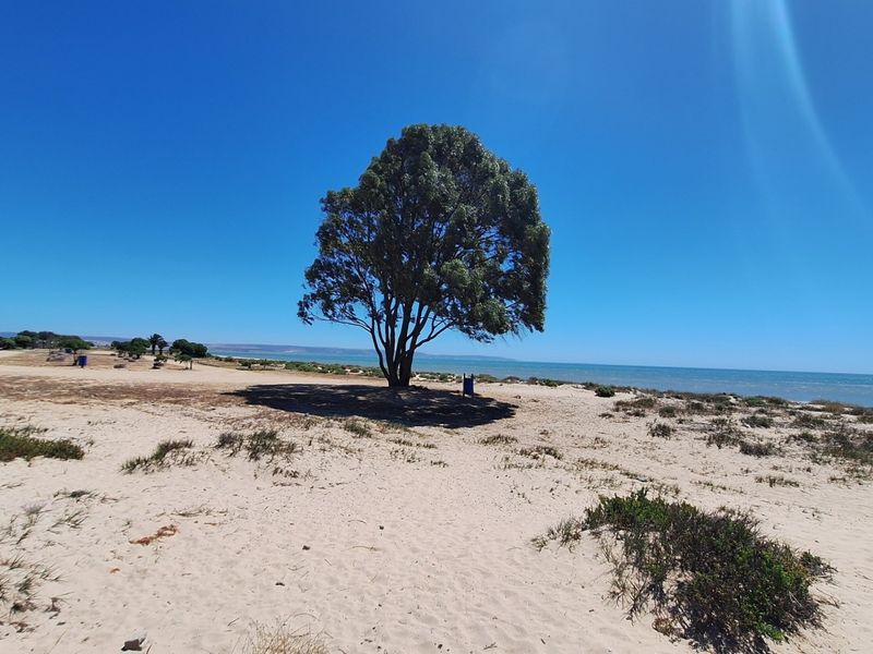 A scenic coastal view featuring a wooden boardwalk leading towards the beach and ocean, surrounded by natural sandy terrain and vegetation.