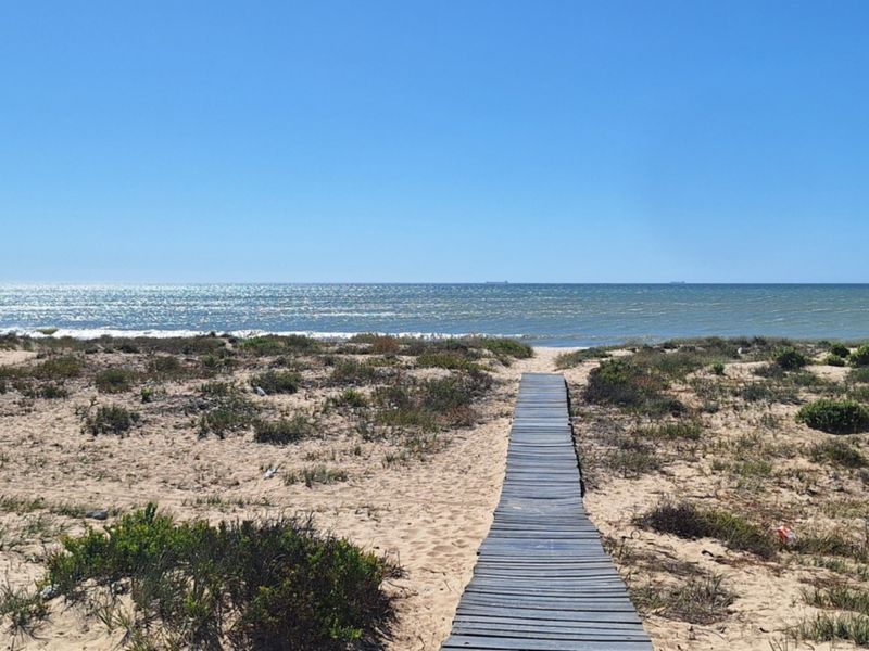 A scenic view of the ocean featuring a wooden boardwalk path leading through the coastal dunes toward the beach.